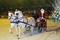 Рождественское шоу лошадей в Мешелене, Бельгия